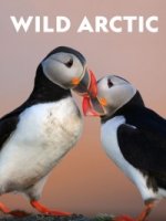 Дикая Арктика/Wild Arctic