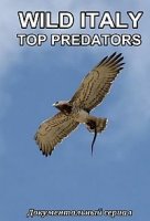 Дикая Италия. Высшие Хищники/Wild Italy: Top Predators