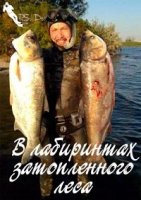 В лабиринтах затопленного леса