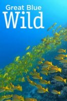 Великие океаны/Great Blue Wild 3 сезон