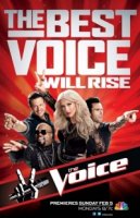 Голос Америки/The Voice 1 сезон