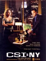 Место преступления: Нью-Йорк/CSI: NY 1 сезон