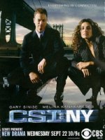 Место преступления: Нью-Йорк/CSI: NY 7 сезон