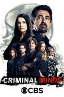 Мыслить как преступник/Criminal Minds 14 сезон