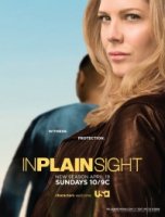 На Виду/In Plain Sight 1 сезон