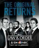 Закон и порядок/Law & Order 21 сезон