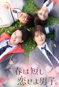 Весна коротка, влюбляйтесь, мальчики/Springtime is Short, Fall in Love, Boys