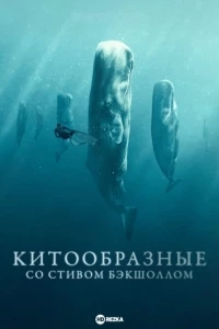 Китообразные со Стивом Бэкшоллом/Whale with Steve Backshall