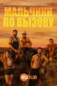 Мальчики по вызов/Escort Boys