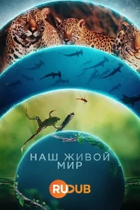 Наш живой мир/Our Living World