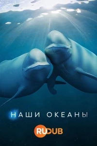 Наши океаны/Our Oceans