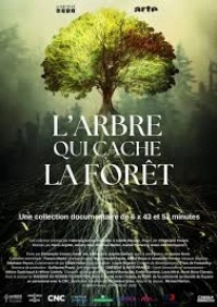 О деревьях и лесах. Невидимый мир/L'arbre qui cache la forêt