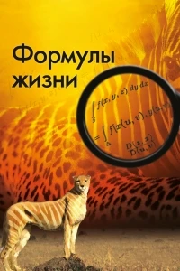 Формулы жизни/Discovering Life’s Formulas
