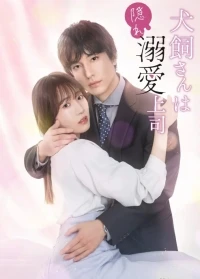 Мой босс тайно влюблен в меня/Inukai-san wa Kakure Dekiai Joshi