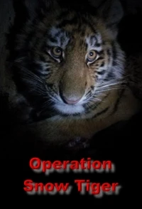 По следам уссурийского тигра/Operation Snow Tiger