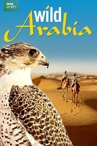 Дикая Аравия/Wild Arabia