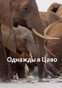 Однажды в Цаво/Once Upon a Time in Tsavo