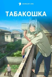 Табакошка/Chainsmoker Cat