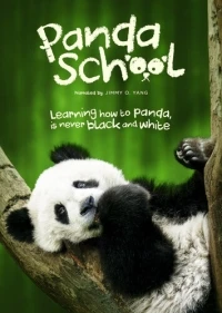 Школа панд/Panda School
