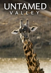 Дикая долина/Untamed Valley