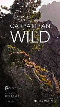 Дикая природа Карпат/Into the Carpathian Wild